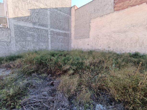 property image #2