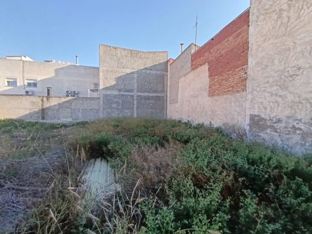 property image #4