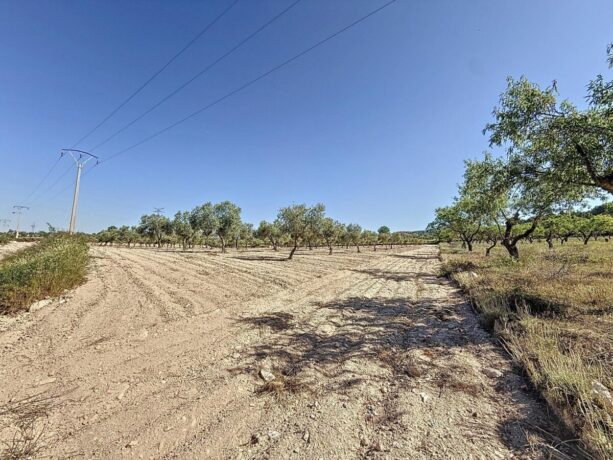 property image #0