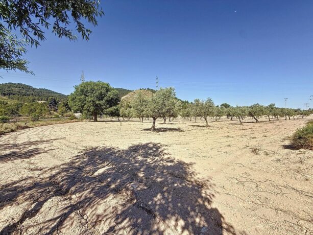 property image #1
