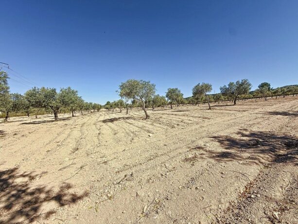 property image #2