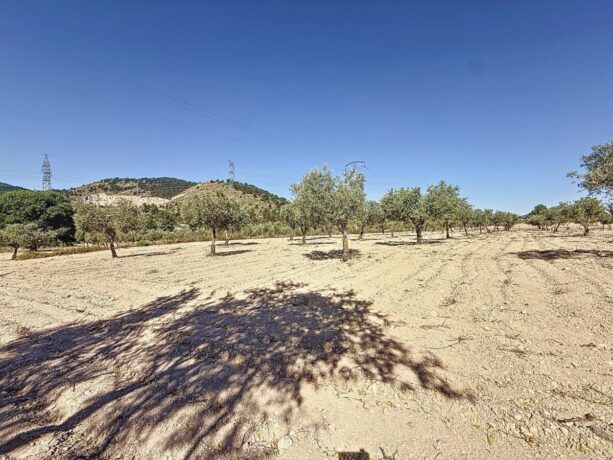 property image #3
