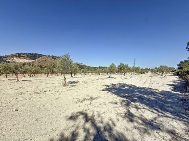 property image #4