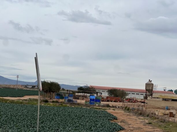 property image #4