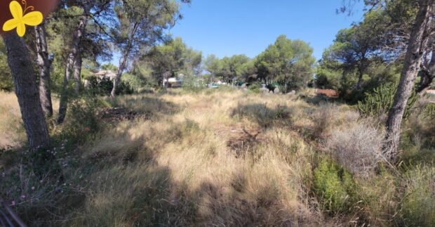property image #0