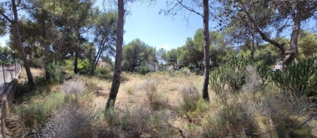 property image #1