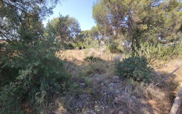 property image #2