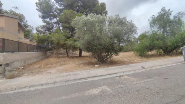 property image #4