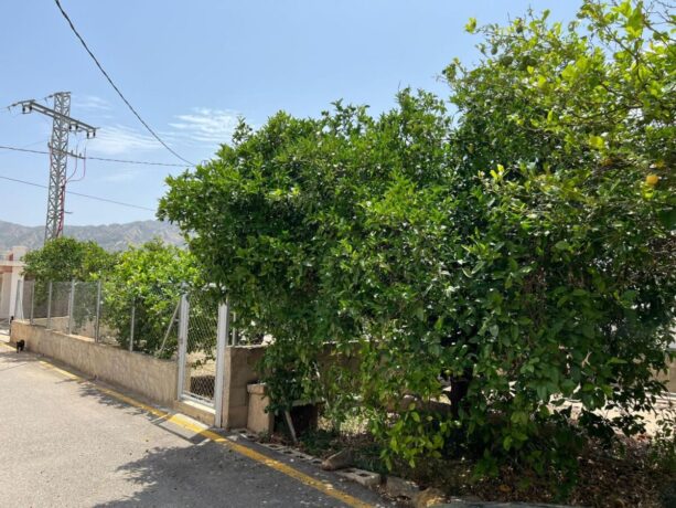 property image #2