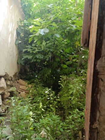 property image #1