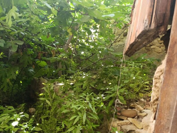 property image #4