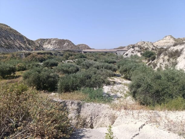 property image #0