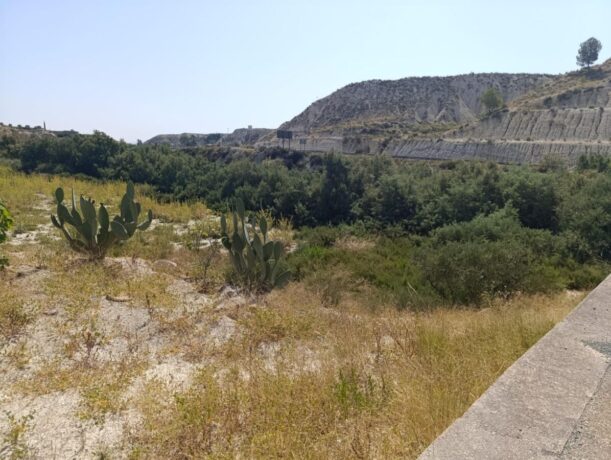 property image #1