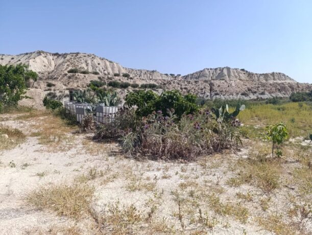 property image #2