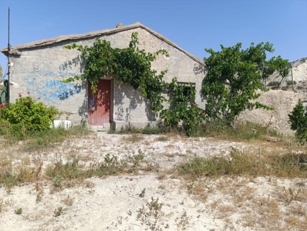 property image #4