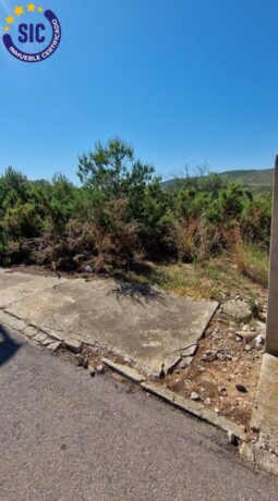 property image #4