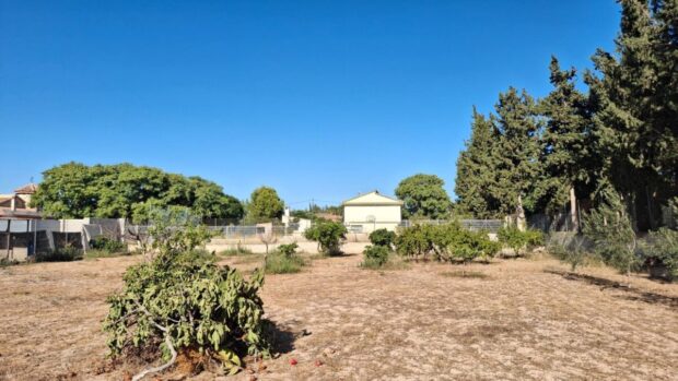 property image #1