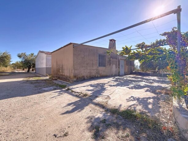 property image #4