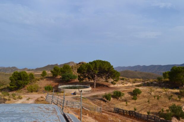property image #3