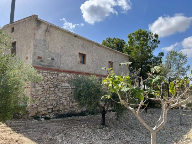 property image #0