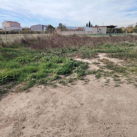 property image #3
