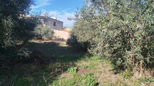 property image #1