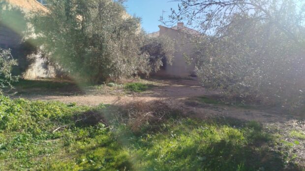 property image #2