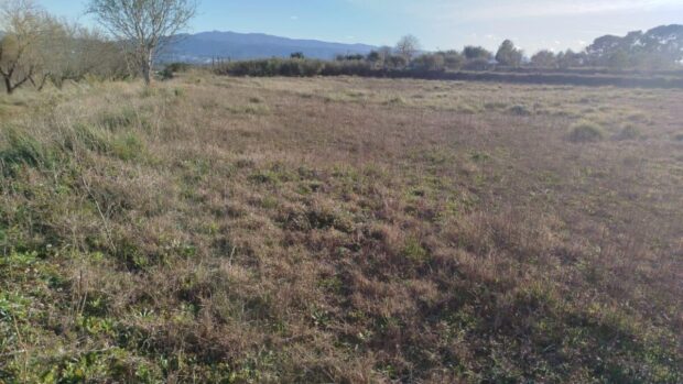 property image #2