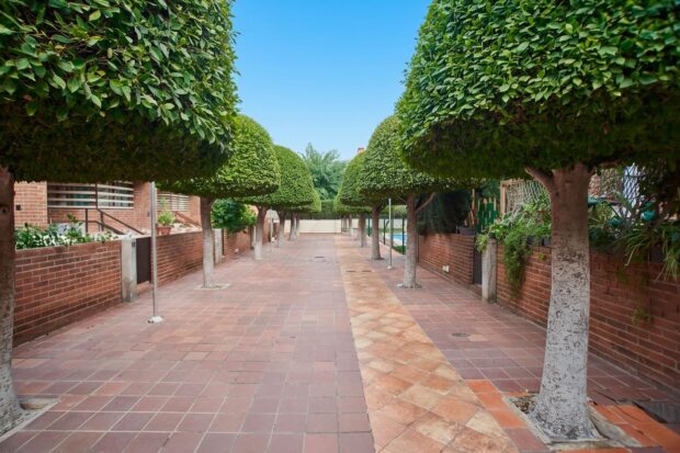 property image #2
