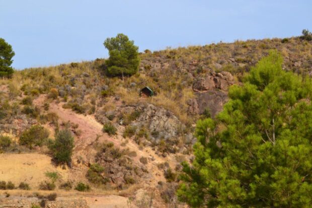 property image #3