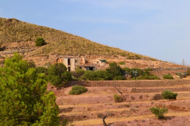 property image #4