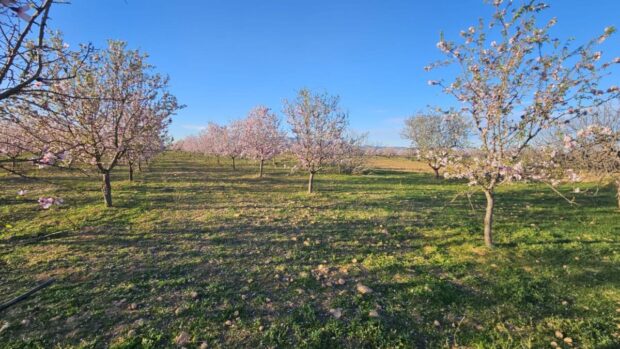 property image #3