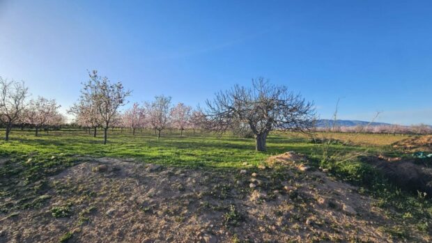 property image #1