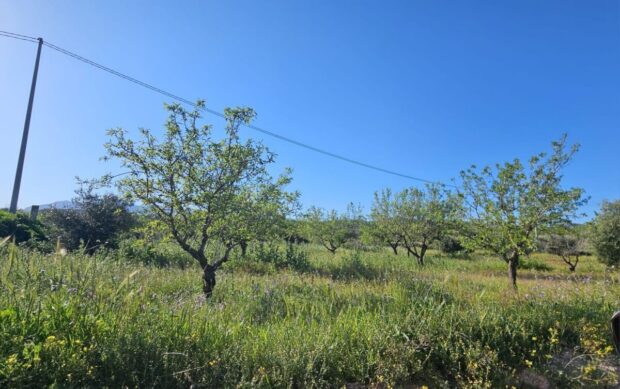 property image #2