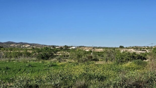 property image #3
