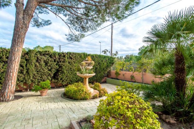 property image #4