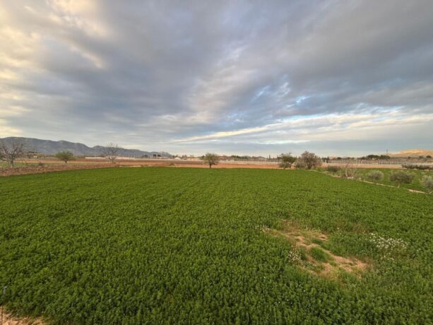 property image #1