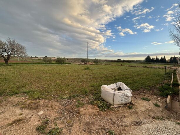 property image #4