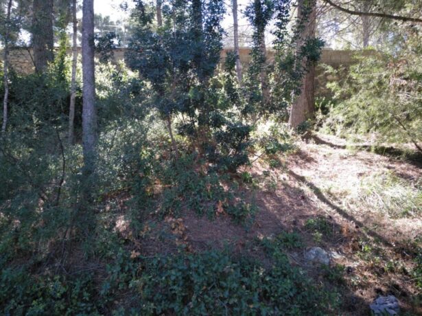 property image #3