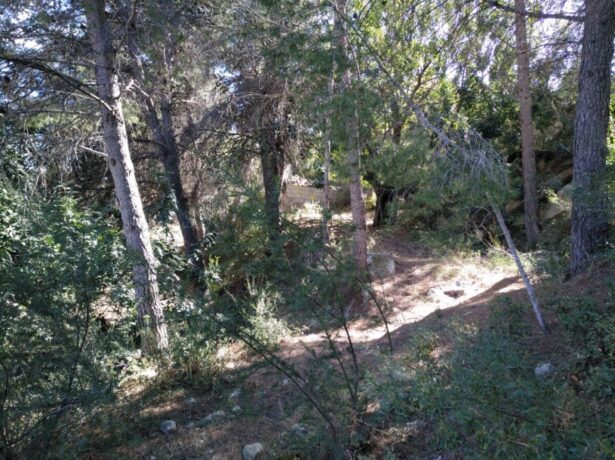 property image #4
