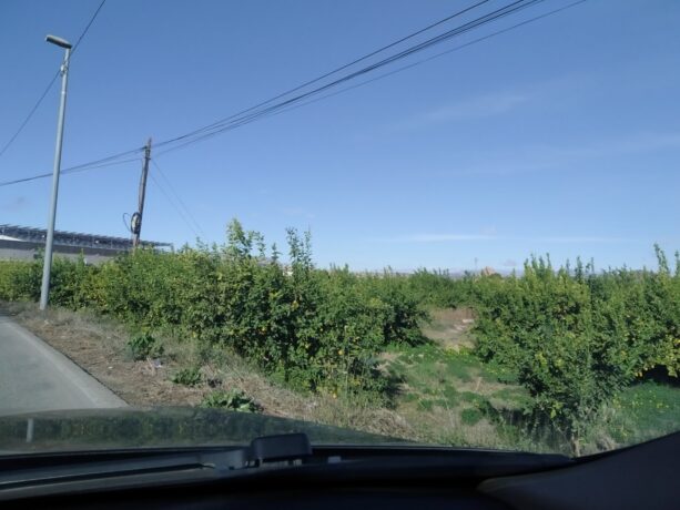 property image #3