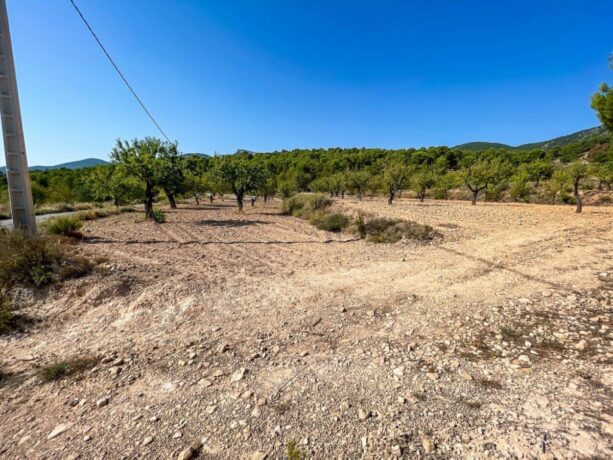 property image #0