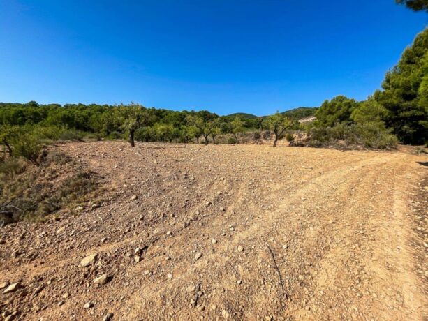 property image #1