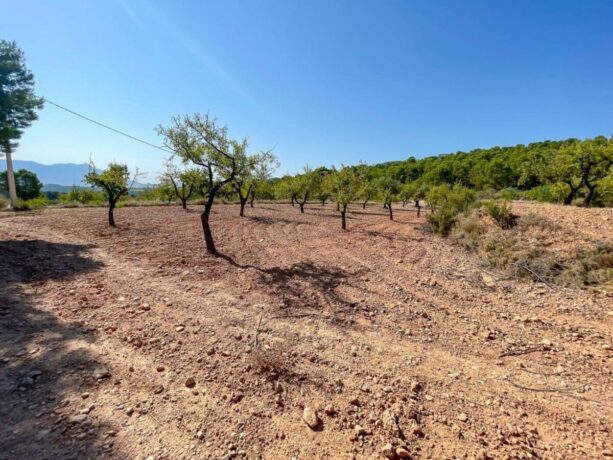 property image #2