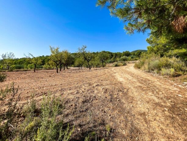 property image #3