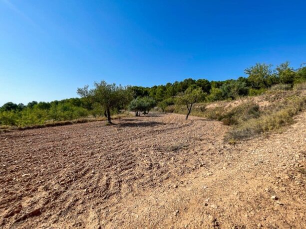 property image #4