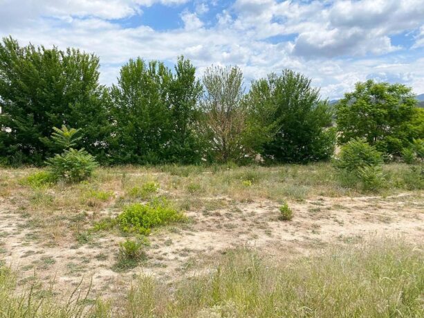 property image #3