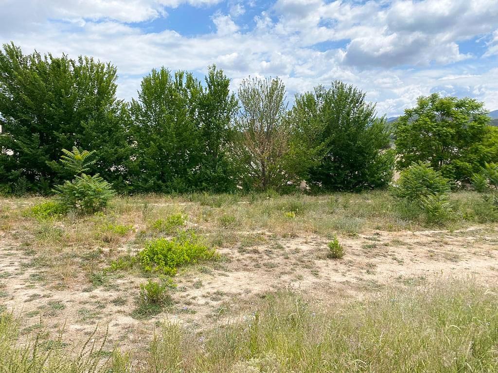 property image #3