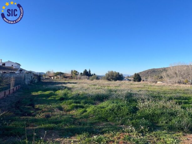 property image #3