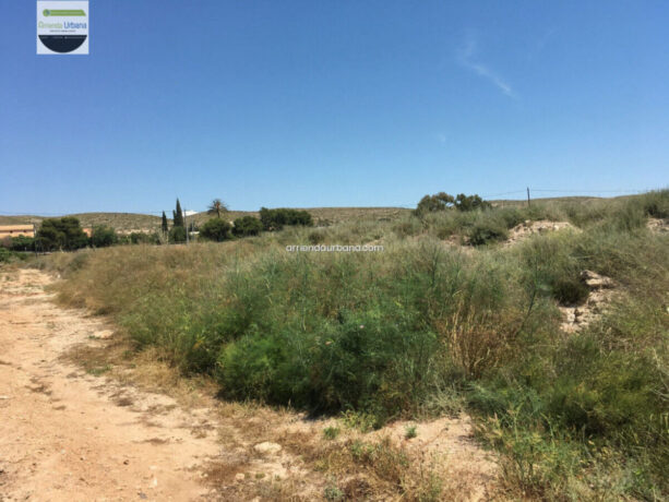property image #0